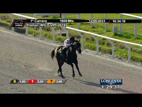 230812 c01 SAN JORGE