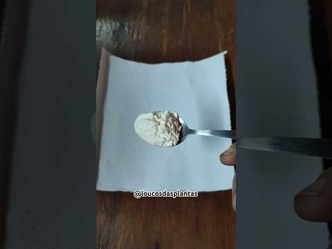 MELHOR MATA RATO CASEIRO DO MUNDO!