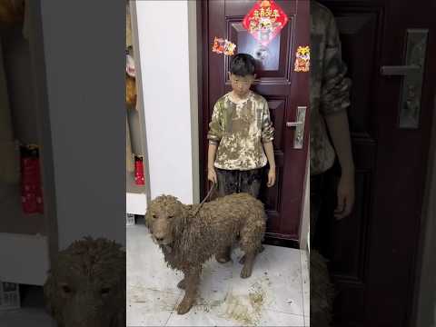 Een Huis Vol Modder😱