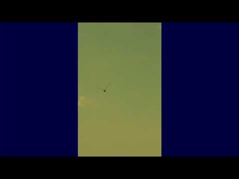 𝙱𝚎𝚊𝚌𝚑 𝚊𝚎𝚜𝚝𝚑𝚎𝚝𝚒𝚌|