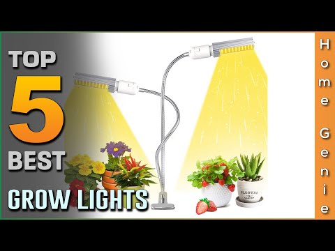 , title : 'Top 5 Best Grow Lights Review for Indoor/Tropical Plants & Seedings [2023] - LED Strip Grow Lights'