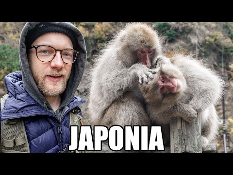 HOWEVER, JAPAN IS COOL XD