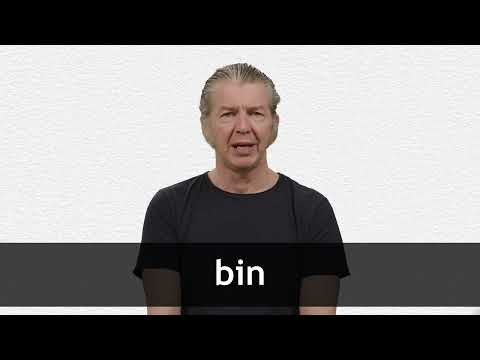 How to pronounce BIN in American English
