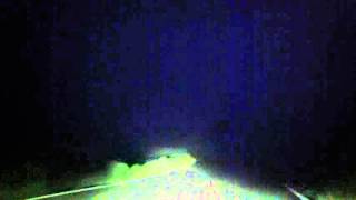 MAGNUM: &quot;Wild Angels&quot;.