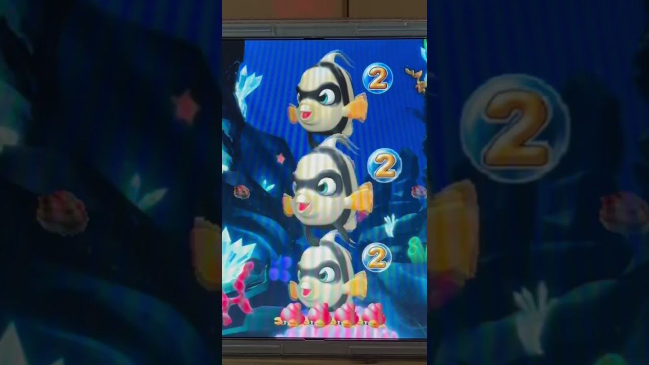 Shorts フィーバー美ら島