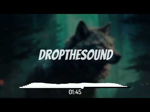 Lawstylez, dj tani & Tommy Tran - Wolves