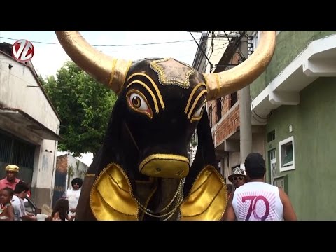 Bloco do Boi comemora 70 anos de tradição