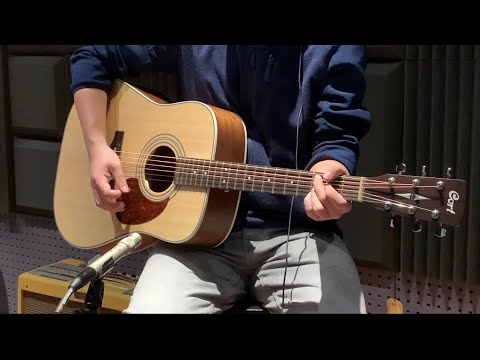 CORT EARTH 70 - демонстрація звучання (без ефектів), зображення 1