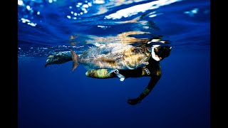 Spearfishing corsica with Carl's Gun 2021