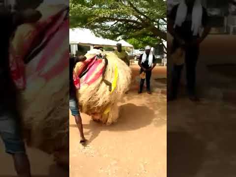 Ojemba Enweilo Performing @ Jimmy Ifeajuna,s Burial at Onitsha on 4th March, 2020.