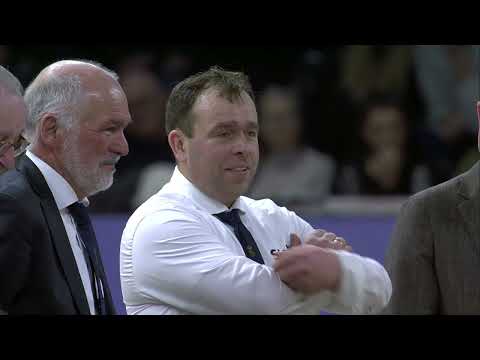 HK 2024   Paard van het jaar 2023