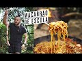 FIZ MACARRÃO DE ESCOLA NA FLORESTA Shorts