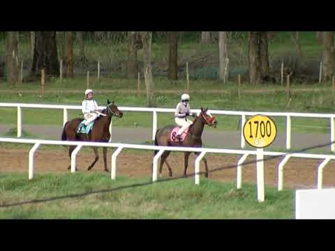 CARRERAS SINT MELO - 210910 c06 1° SULTANA GUAPA