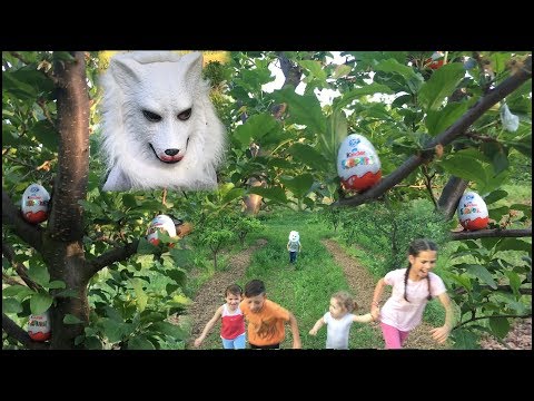 Kinder Jaja i Vuk ★ Deciji Igrani Film★