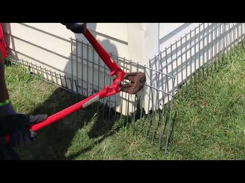 Stopping the Raccoon from Destroying the Shed with Dig Defense® in Toms River, NJ