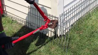 Watch video: Stopping the Raccoon from Destroying the Shed with Dig Defense® in Toms River, NJ