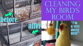 CLEANING MY BIRD'S ROOM | Birds Are So Messy!!