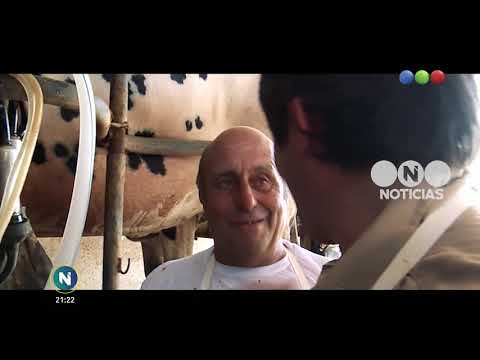 Contratado X un día: Roberto Funes Ugarte es peón rural - Telefe Noticias