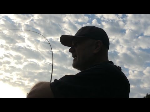 Tench fishing to start the day and my wife’s birthday