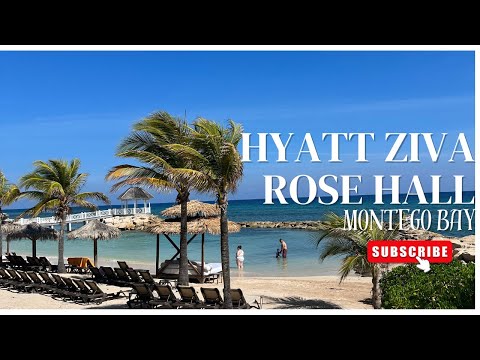 Videos del Hyatt Ziva Rose Hall 5★ en Montego Bay, Jamaica
Ver Más
Ver
Precios
19
Cerrar
Consulta por Whatsapp 🇦🇷
Booking
Tripadvisor
Expedia
Agoda
Travelocity
Orbitz
Priceline
Trip
Skyscanner
Despegar
Kayak
Hoteles
Destinia
Trivago
Turismocity
Lastminute
Hotwire
Tui
Wotif
