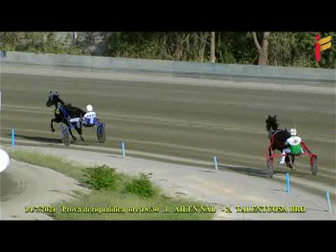 Prova di Riqualifica del 14 Luglio 2021   Metri 1600