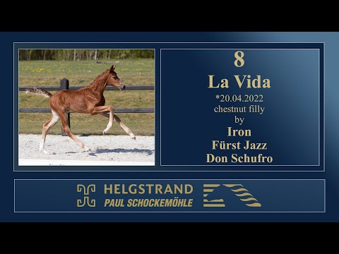 8 - La Vida by Iron/Fürst Jazz  - Helgstrand-Schockemöhle Auction on June 4th 2022