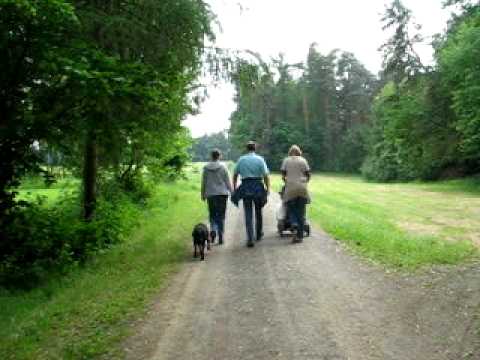 Paig´s zickzack-Lauf