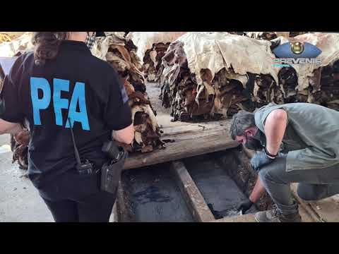 PREVENIR FEDERAL │ DELITOS AMBIENTALES EN UNA CURTIEMBRE