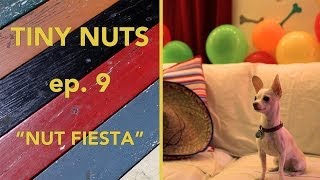 TINY NUTS | Ep. 9 | 