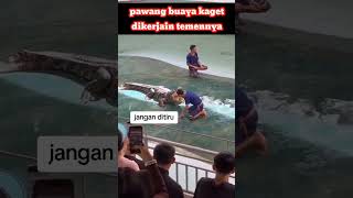 Download lagu adegan berbahaya jangan ditiru #funny mp3