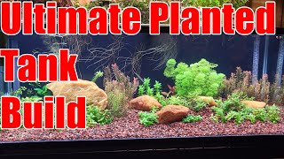 60g ULTIMATE Planted Tank Build - Powered Under Gravel Filter