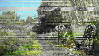 Alis - Fecha de caducidad