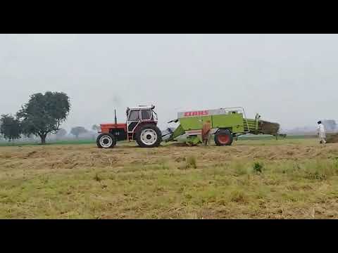 Rhodes grass hay bailing with Fiat tractor 150 Hp & CLAAS 1200. Rehan Dogar 0300-0036868