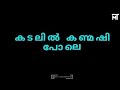 Buddy Malayalam Move Kadalil Kanmashi Pole Lyrics Video Bhumika Navanesh HD Video Song