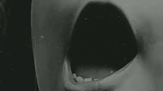 Paranoia, paranoia- Bauhaus