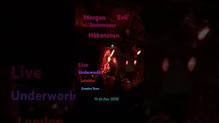 PANZER DIVISION MARDUK LIVE