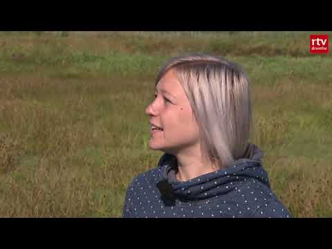 Het Drentsche Aa-gebied #1 | ROEG! 11 januari 2020