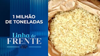 Brasil deve importar arroz para manter o preço do produto estável