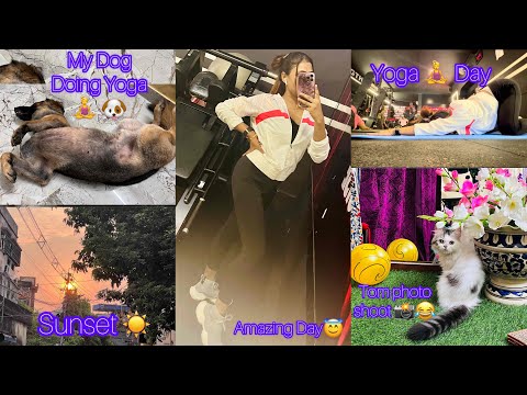 First Day Yoga | Mere Dog V Yoga Kiye | Simple Healthy life | Kolkata |Samrin naaz Vlogs