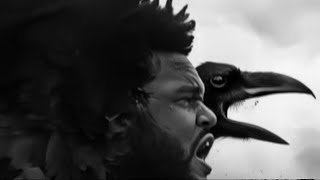 The Weeknd - The Birds - Part 2 (Music Video)