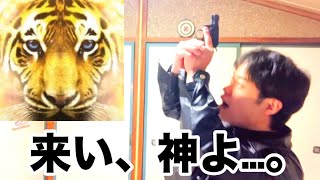 新年一発目、神に喧嘩うってみた。