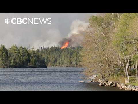 Why Nova Scotia has banned hiking in the woods