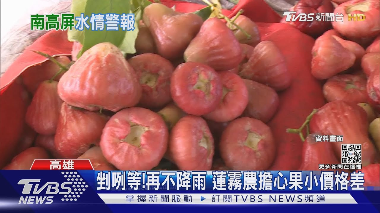 剉咧等!不降雨南部水情吃緊 蓮霧農擔心果小價格差