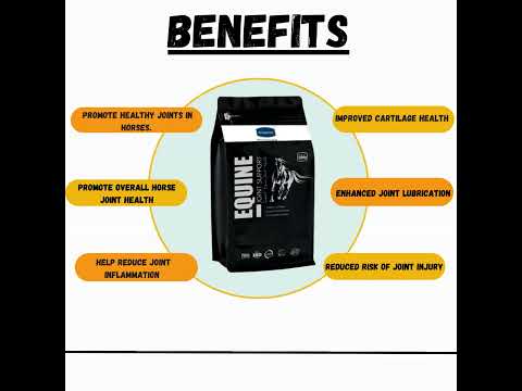 Equine joint support Powder-Equine Feed Supplements-500g