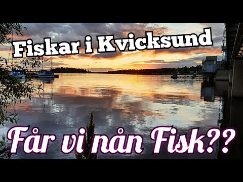 Vi drar o fiskar i Kvicksund *FÅR VI NÅN FISK?* 🎣
