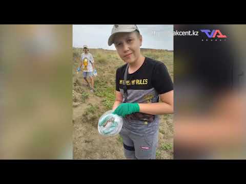 «Күн» ақпараттық бағдарлама 2 тамыз 2022ж.