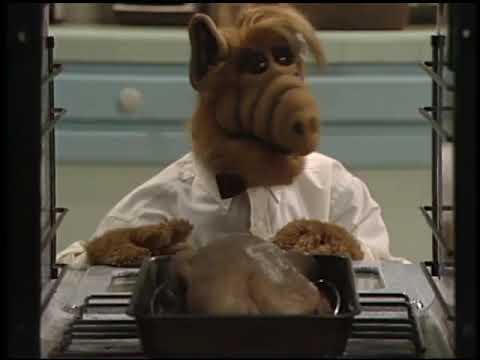 ALF blows up the kitchen