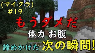 もう少しで力尽きそうになりかけた時、奇跡が起きた(゜-゜)