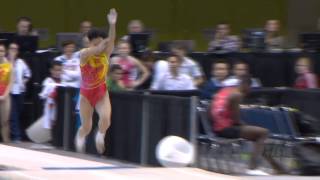 preview picture of video 'JIA Fangfang (CHN) - 2014 Trampoline Worlds, Daytona Beach (USA)  - Qualifications Tumbling'