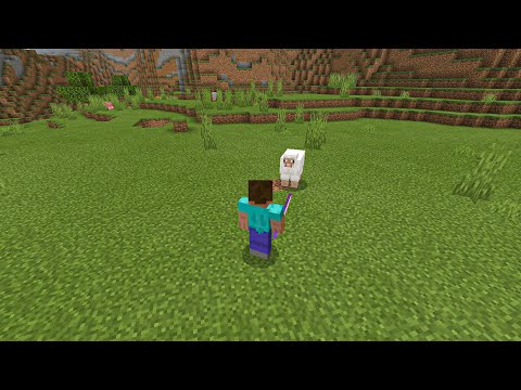 Best Enchantments For SWORD in Minecraft